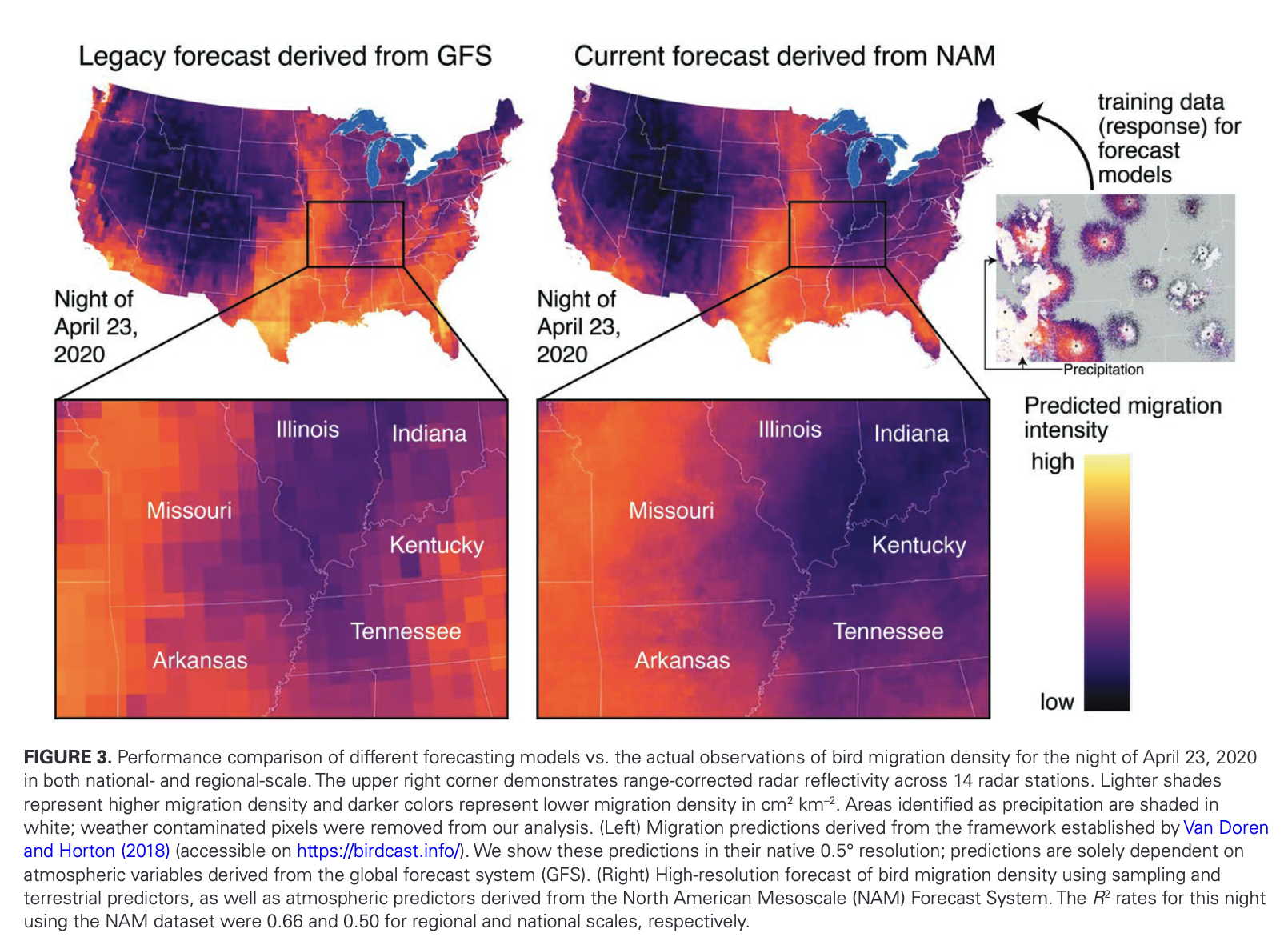 Bird migration forecasting preview figure